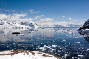 Neko Harbour, Antarctica 029.jpg